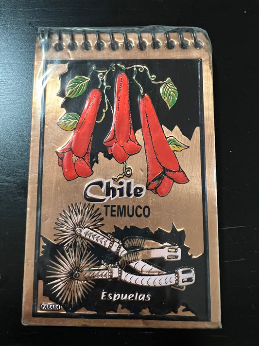 Souvenir - Chilena Cossas