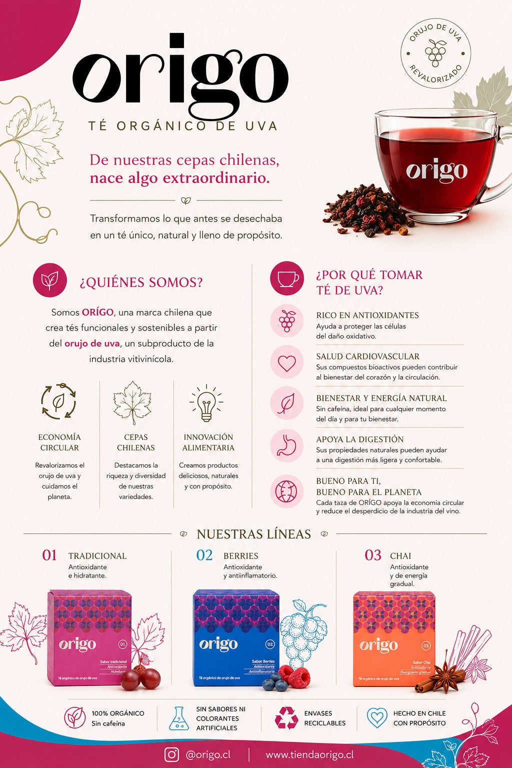 Té Orgánico de Orujo de Uva Origo Tradicional – Antioxidante, Sin Cafeína | Hecho en Chile
