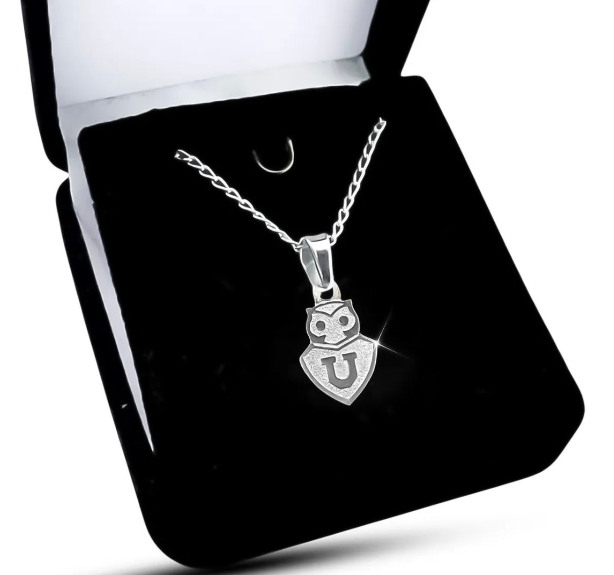 Colgante U De Chile Pequeño, Con Cadena De Plata Nacional Plateado