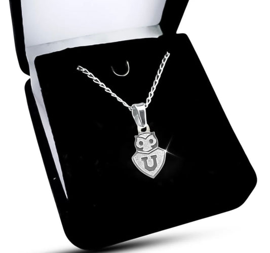Colgante U De Chile Pequeño, Con Cadena De Plata Nacional Plateado
