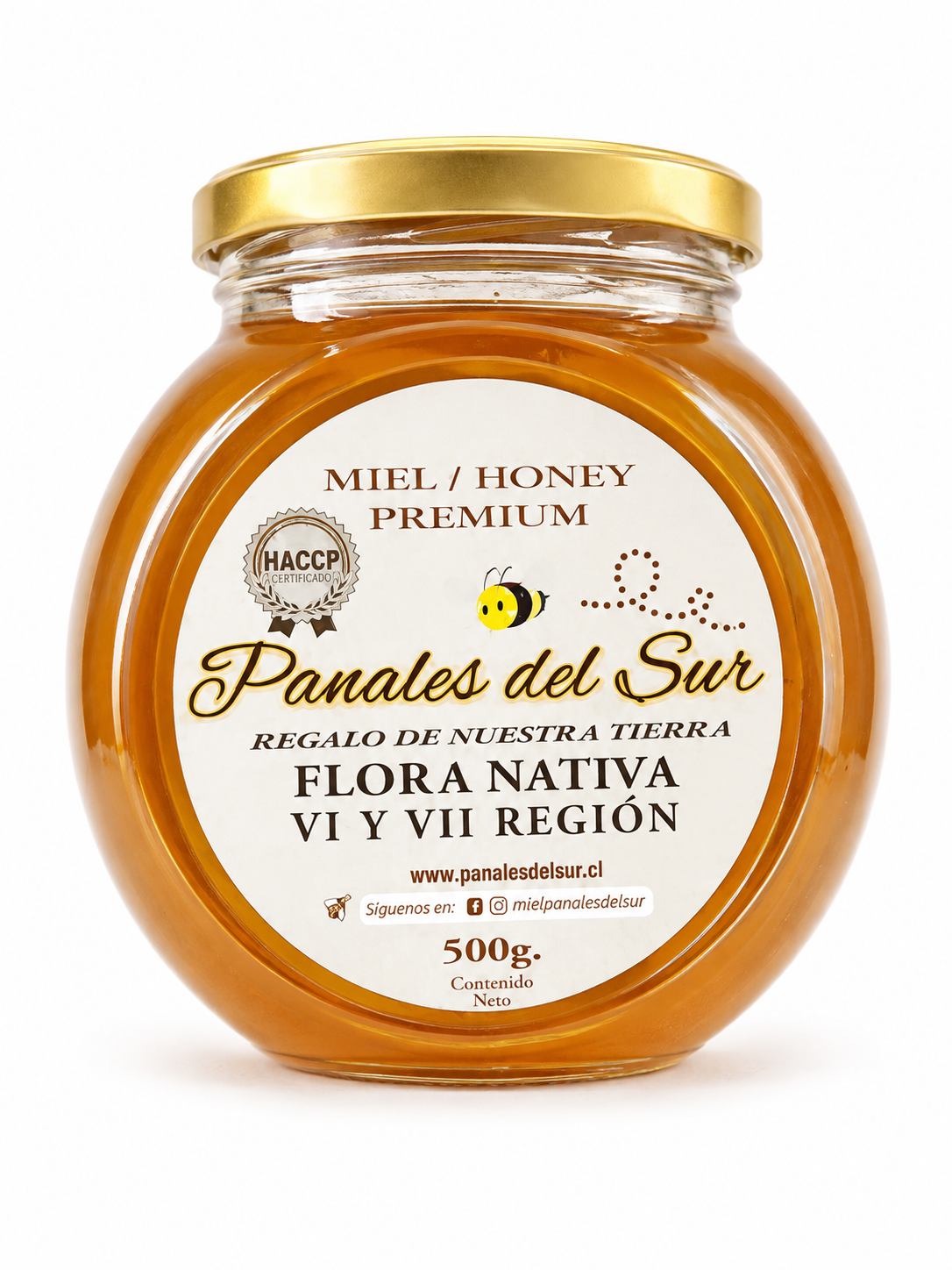 Miel Premium Panales del Sur de Flora Nativa Chilena – 500 g