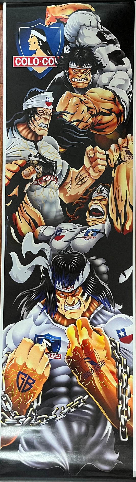 Pendón Colo Colo
