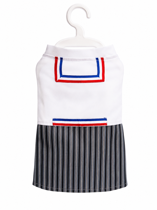 Traje de Huasito para Perros Talla M | atuendo Chileno para Mascotas | Fiestas Patrias 🇨🇱