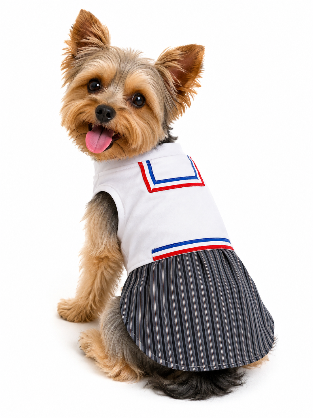 Traje de Huasito para Perros Talla M | atuendo Chileno para Mascotas | Fiestas Patrias 🇨🇱